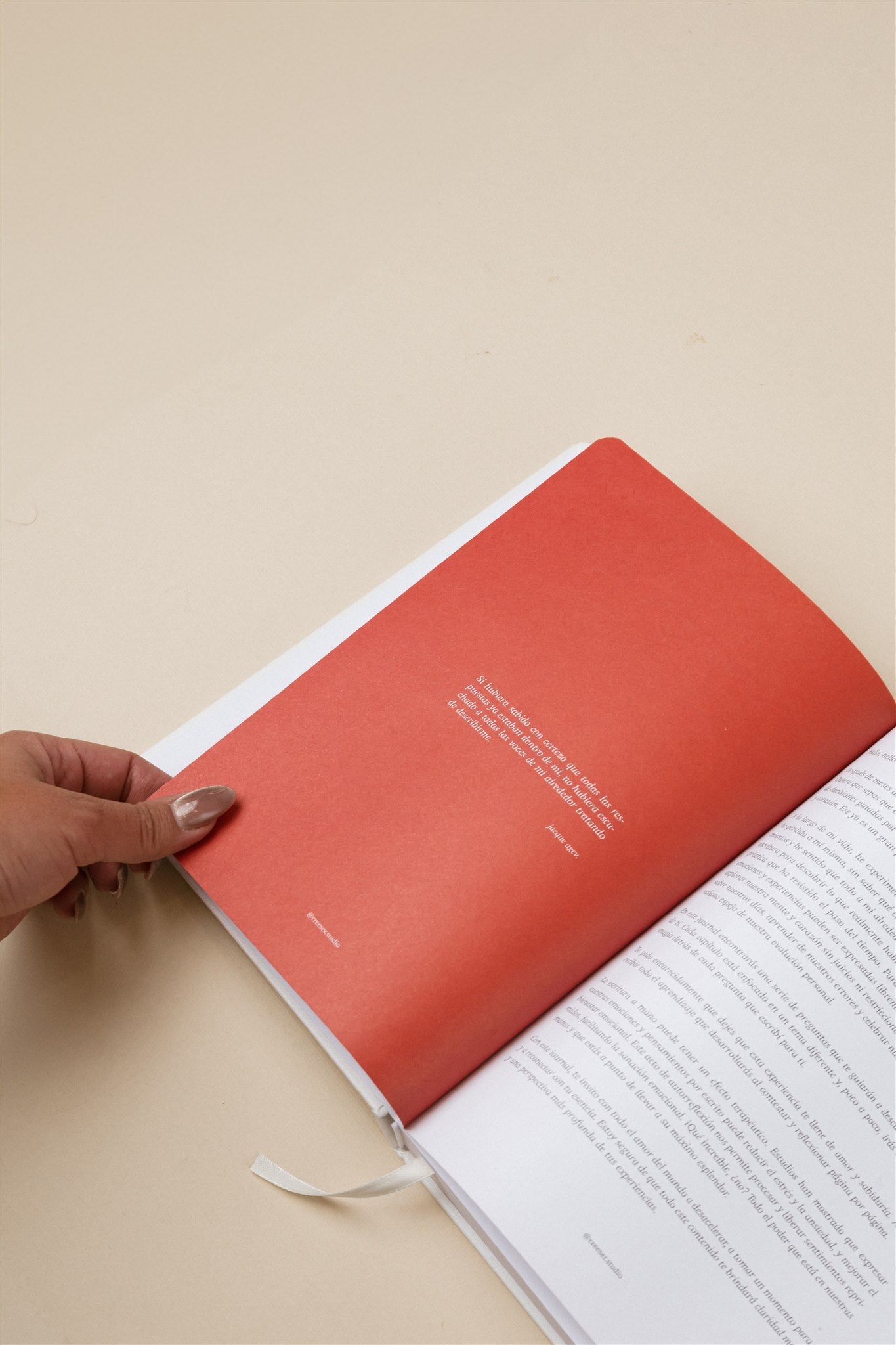 JOURNAL - LAS CARTAS QUE NUNCA ENVIÉ