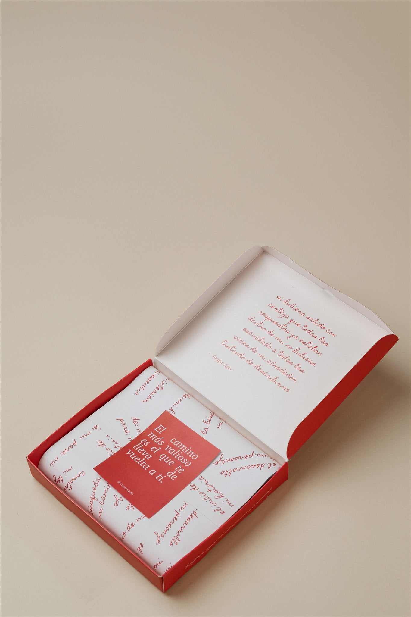 JOURNAL - LAS CARTAS QUE NUNCA ENVIÉ