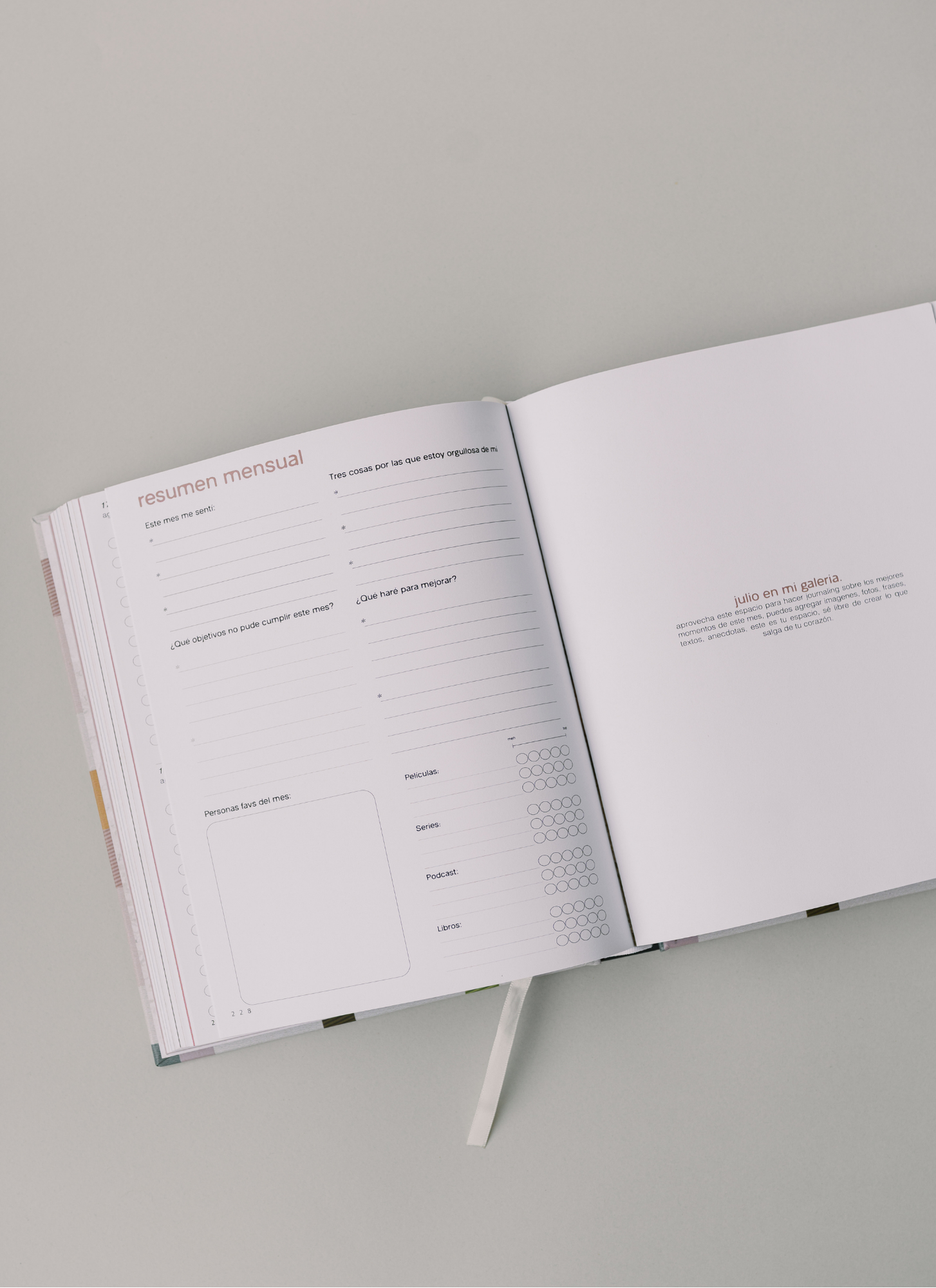 AGENDA 2027 CIERVO - VERSIÓN LIBRO
