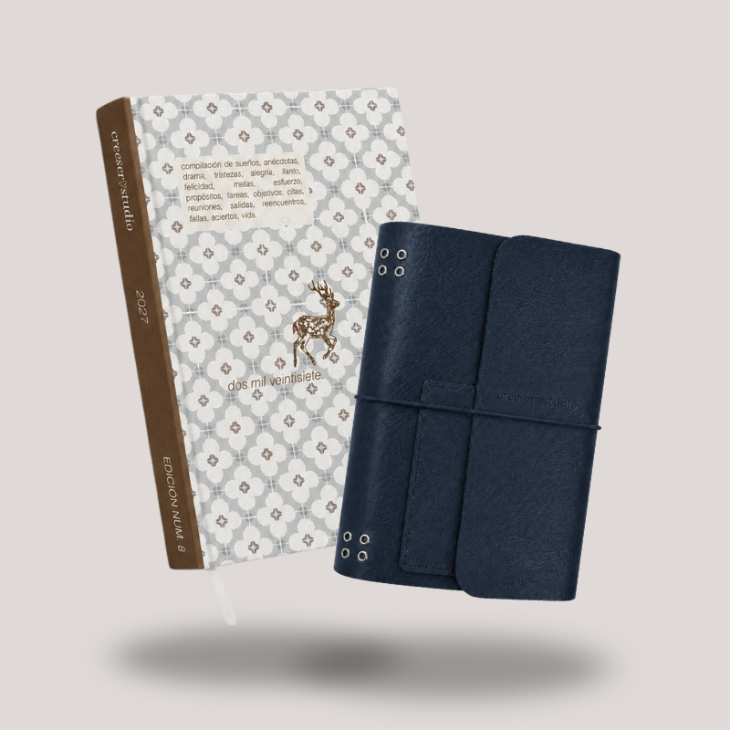AGENDA FÍSICA + JUNK JOURNAL