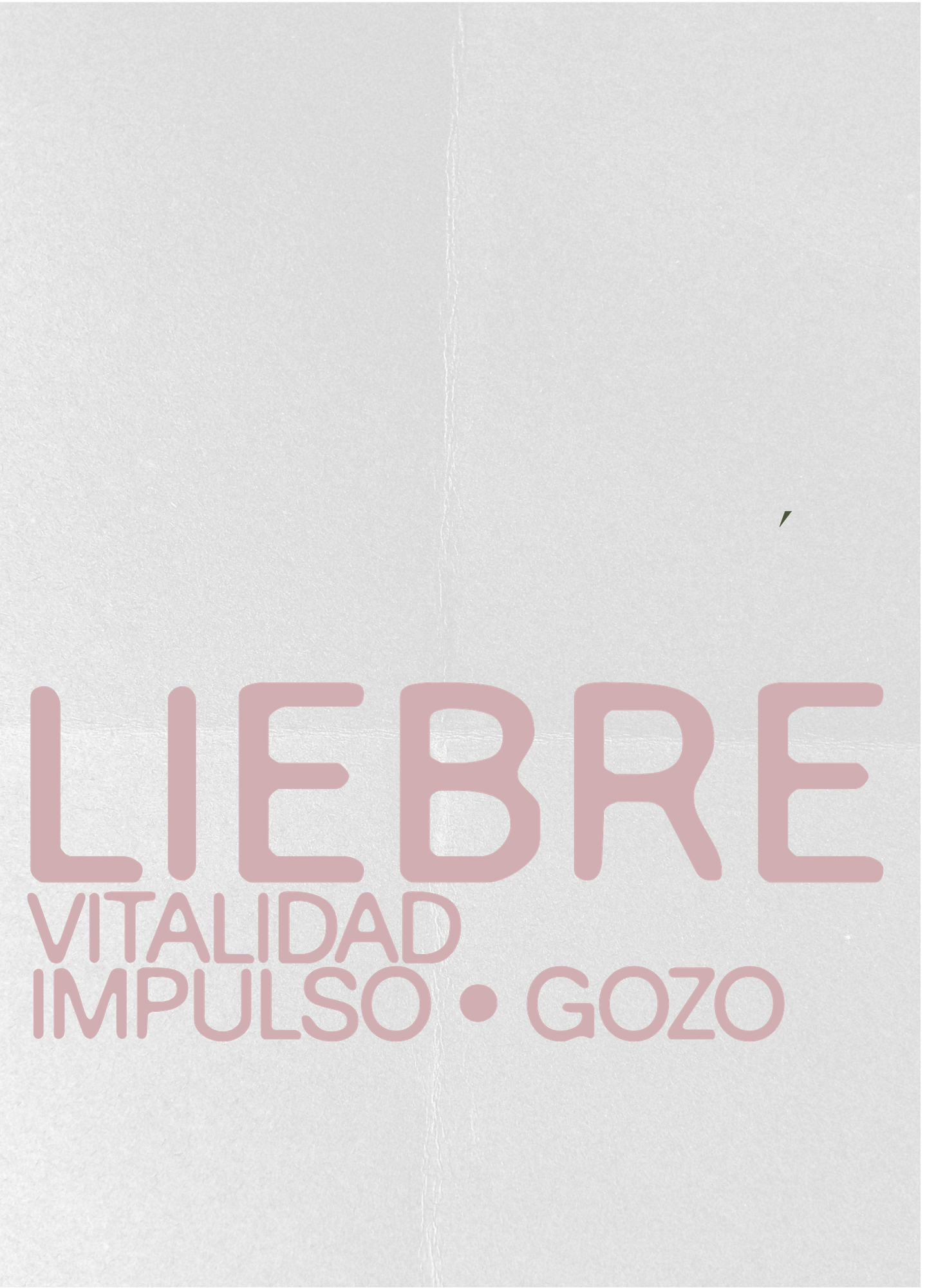 AGENDA 2027 LIEBRE - VERSIÓN LIBRO