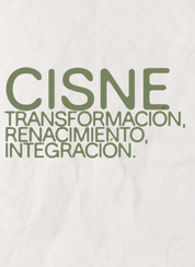AGENDA 2027 CISNE - VERSIÓN LIBRO