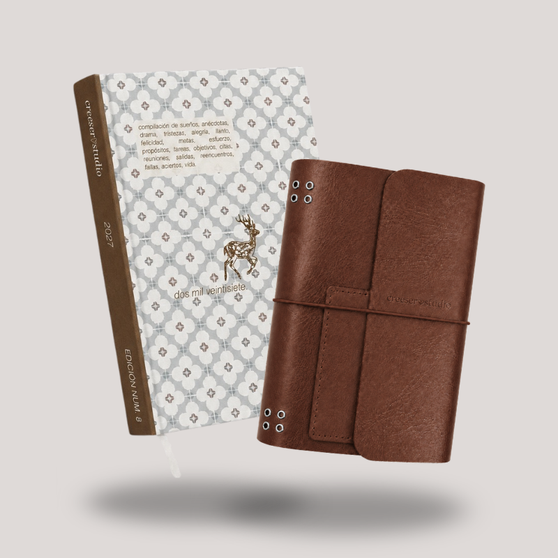 AGENDA FÍSICA + JUNK JOURNAL