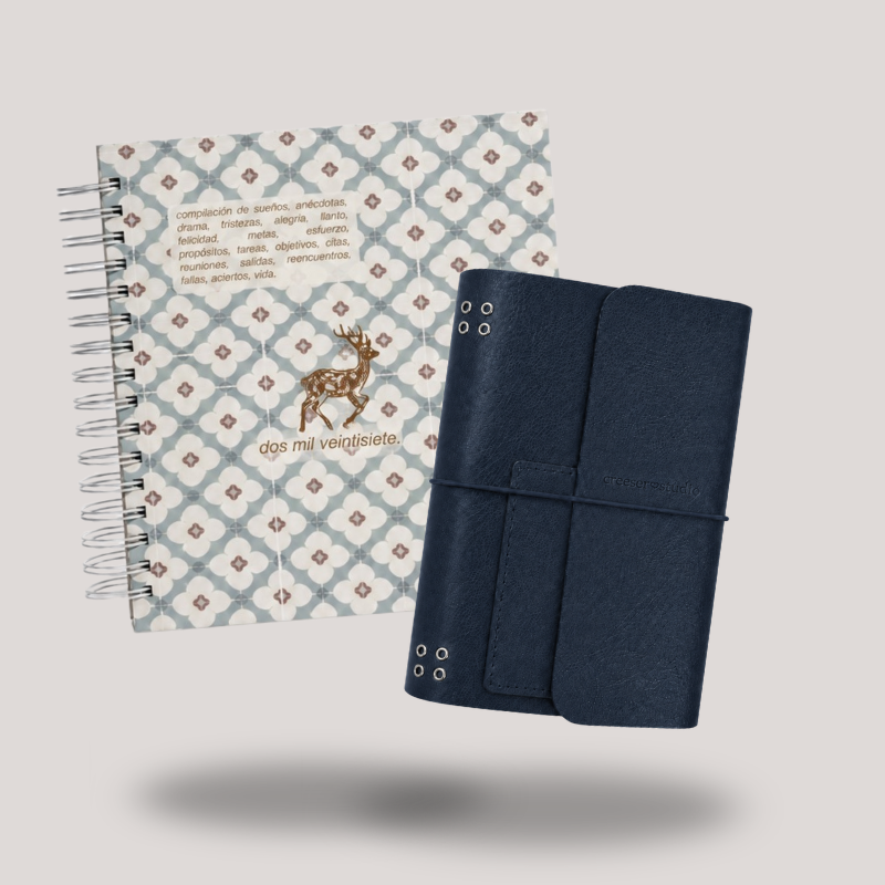 AGENDA FÍSICA + JUNK JOURNAL