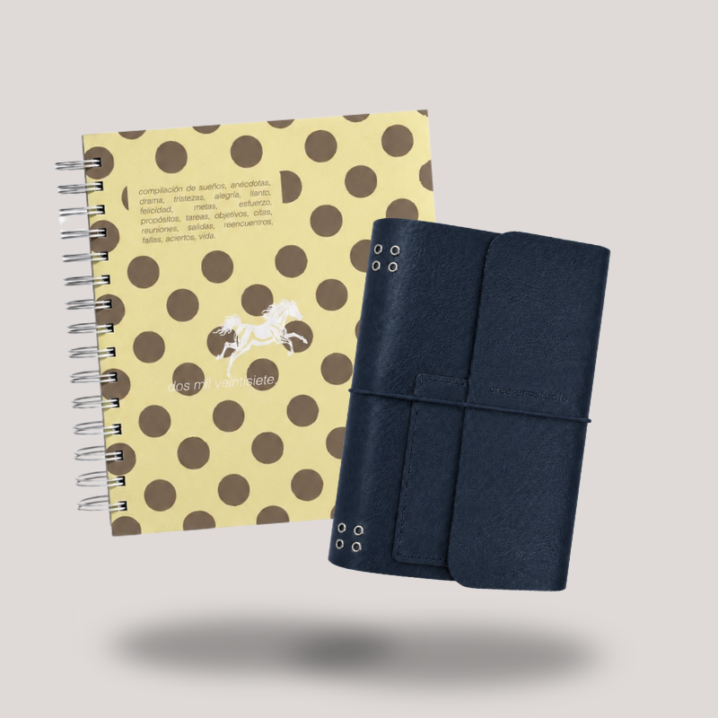 AGENDA FÍSICA + JUNK JOURNAL
