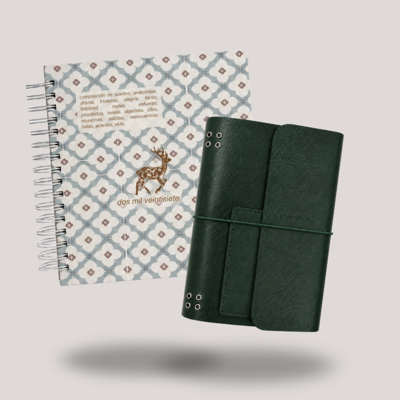 AGENDA FÍSICA + JUNK JOURNAL