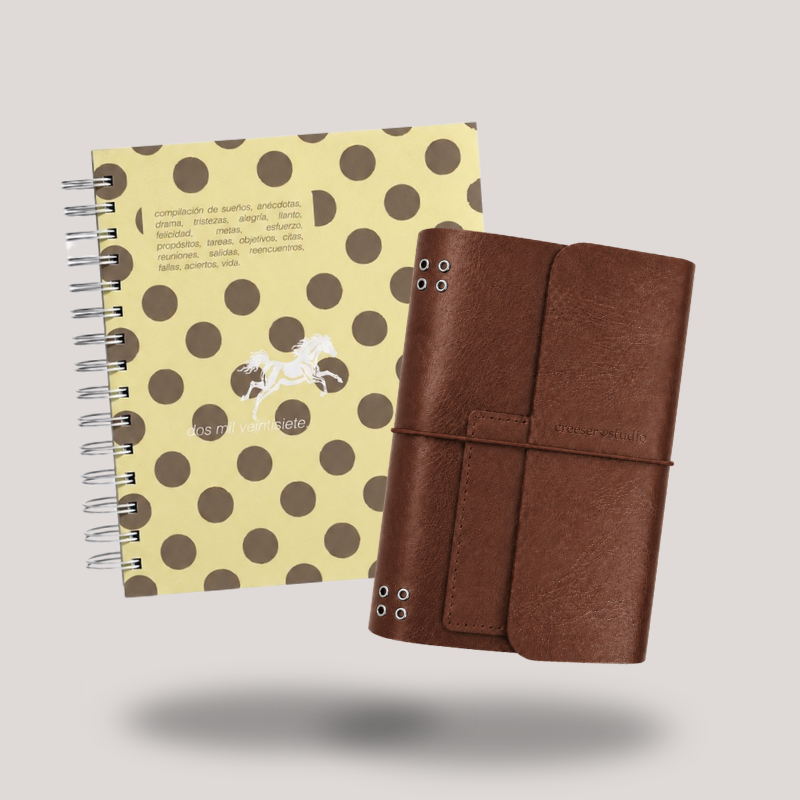 AGENDA FÍSICA + JUNK JOURNAL