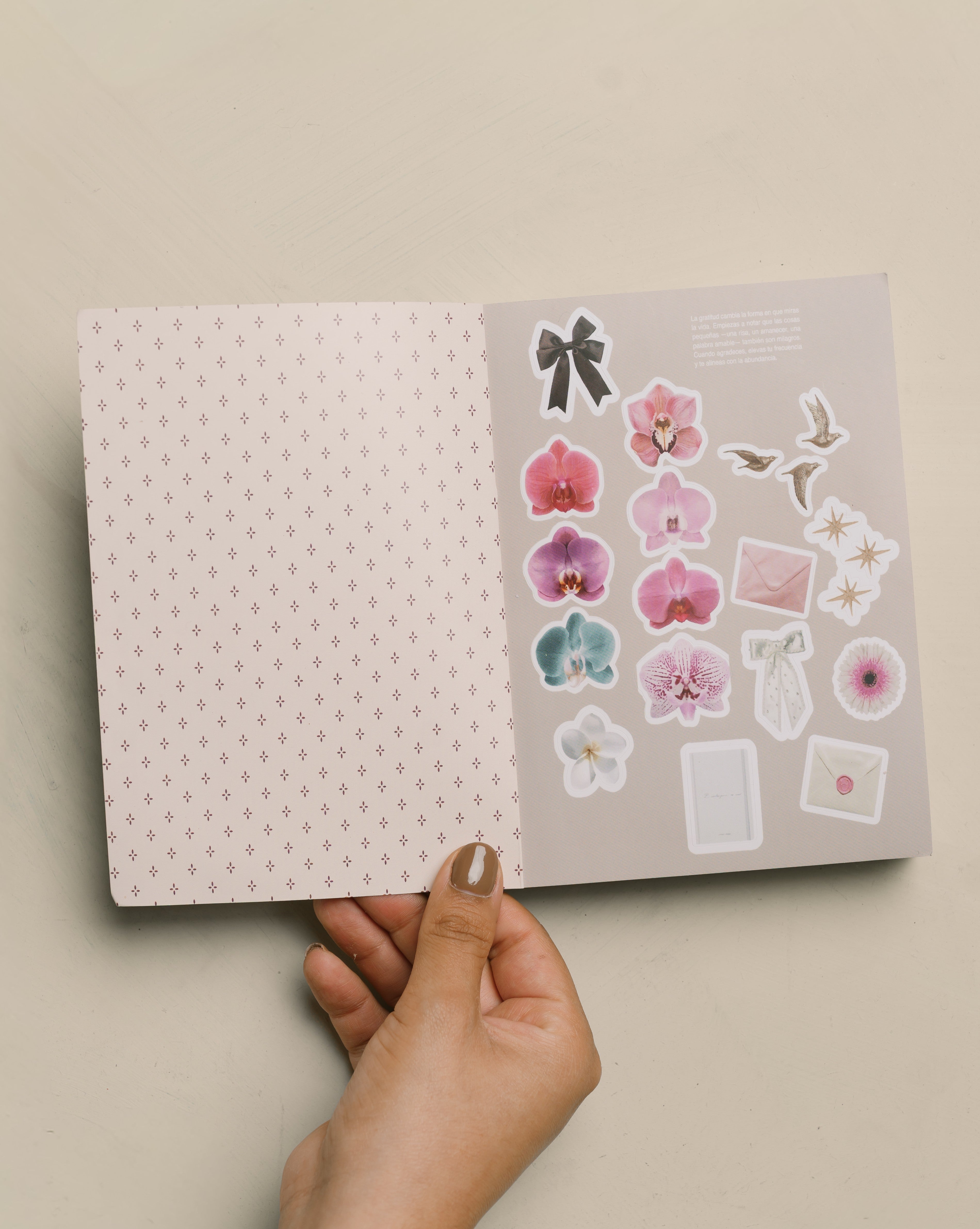 STICKER BOOK