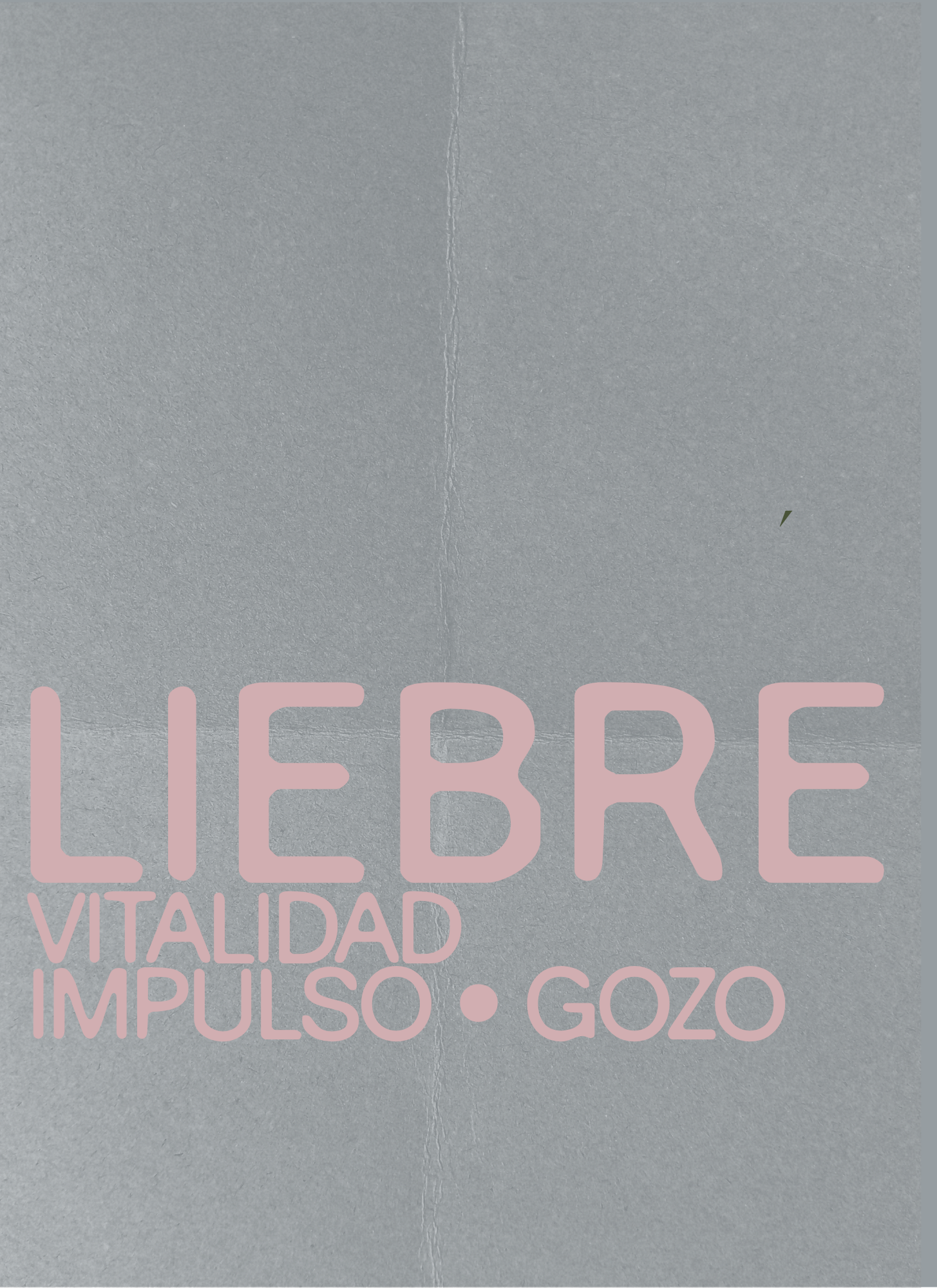 AGENDA 2027 LIEBRE - VERSIÓN ESPIRAL